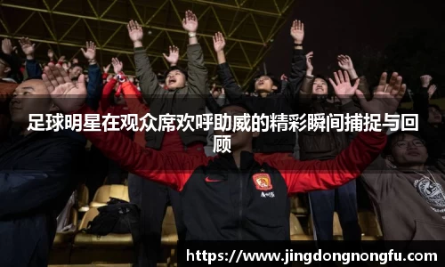 足球明星在观众席欢呼助威的精彩瞬间捕捉与回顾